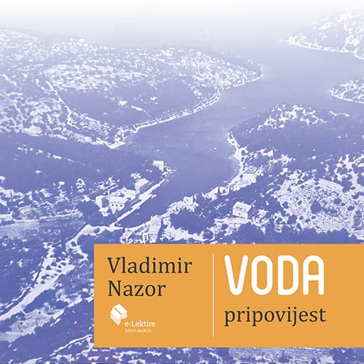 book cover for Voda
